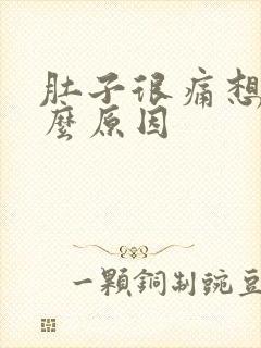 肚子很痛想吐什么原因