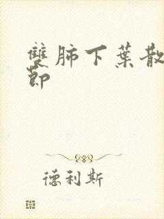 双肺下叶散在结节