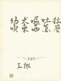 幼犬呕吐拉稀不吃东西怎么办