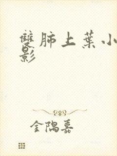 双肺上叶小结节影