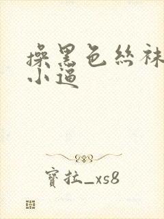 操黑色丝袜欧美小逼