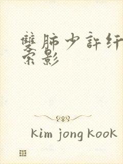 双肺少许纤维条索影封面