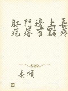 肛门边上长个硬疙瘩有点疼