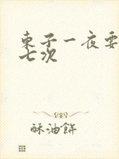 东子一夜要白洁七次封面