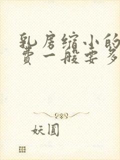 乳房缩小的手术费一般要多少钱封面