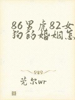 86男虎82女狗的婚姻怎么样