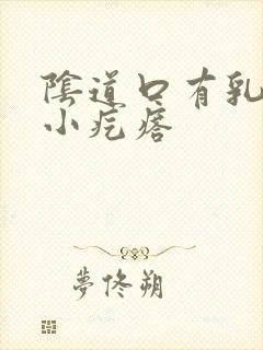 阴道口有乳头状小疙瘩