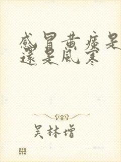 感冒黄痰是风热还是风寒封面