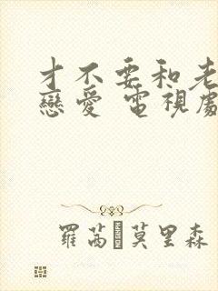 才不要和老板谈恋爱 电视剧