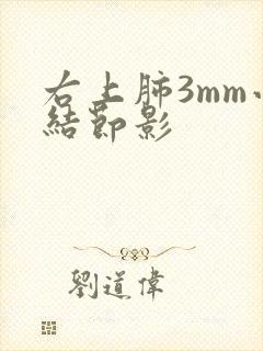 右上肺3mm小结节影