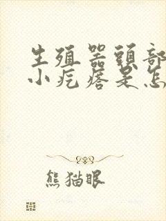 生殖器头部长了小疙瘩是怎么回事封面