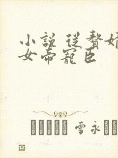 小说 从赘婿到女帝宠臣