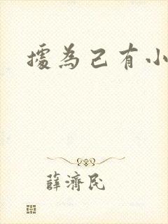 据为己有小说封面