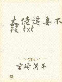 大佬追妻不择手段 txt