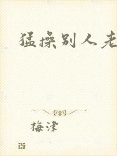 猛操别人老婆封面