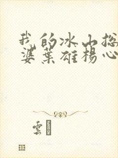 我的冰山总裁老婆叶雄杨心怡