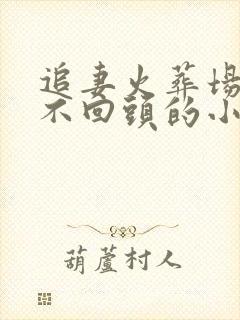 追妻火葬场女主不回头的小说