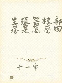 生殖器根部长疙瘩是怎么回事