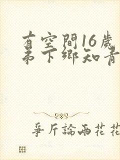 有空间16岁带弟下乡知青的小说封面