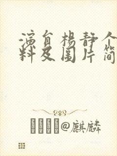 演员杨静个人资料及图片简介封面