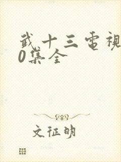 武十三电视剧40集全封面