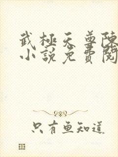 武极天尊陈天极小说免费阅读