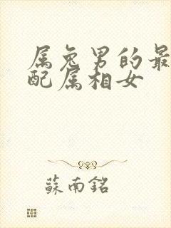 属兔男的最佳婚配属相女