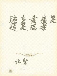 肺炎黄痰是细菌还是病毒封面