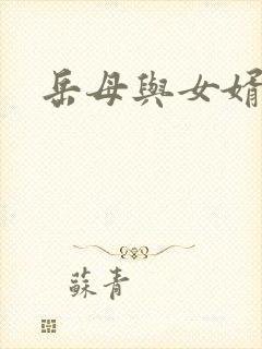 岳母与女婿乱轮