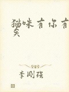 猫咪有你有我足矣