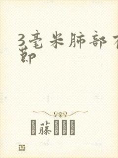 3毫米肺部有结节