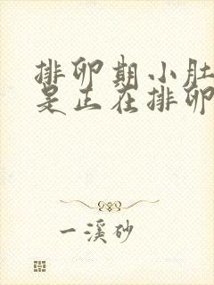 排卵期小肚子疼是正在排卵吗封面