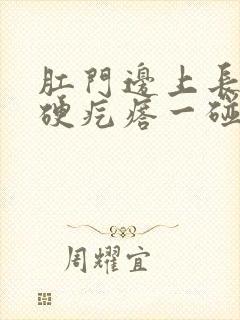 肛门边上长了个硬疙瘩一碰就疼