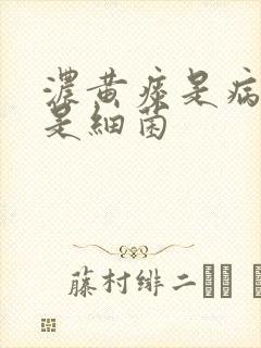 浓黄痰是病毒还是细菌