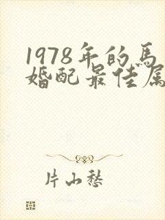 1978年的马婚配最佳属相