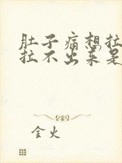 肚子痛想拉屎又拉不出来是什么原因