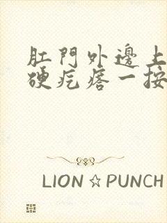 肛门外边上一个硬疙瘩一按疼