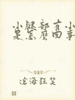 小腿部有小疙瘩是怎么回事封面