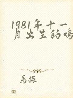1981年十一月出生的鸡女命运