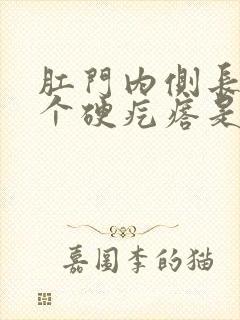 肛门内侧长了一个硬疙瘩是一摸疼