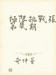 极限挑战张艺凡第几期