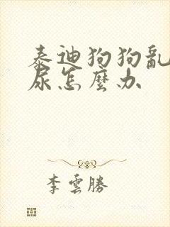 泰迪狗狗乱拉乱尿怎么办