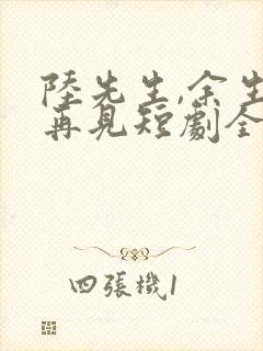 陆先生,余生不再见短剧全集