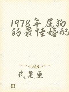 1978年属狗的最佳婚配属相