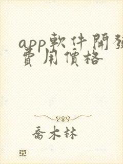 app软件开发费用价格封面