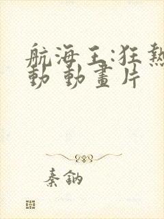 航海王:狂热行动 动画片