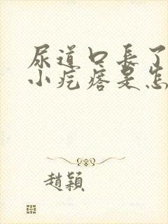 尿道口长了一个小疙瘩是怎么回事