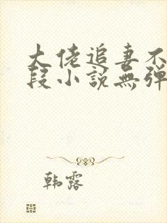 大佬追妻不择手段小说无弹窗封面