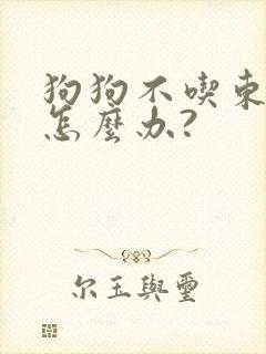 狗狗不吃东西,怎么办?