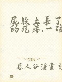 屁股上长了硬硬的疙瘩,一碰特别疼